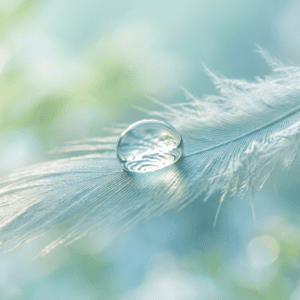Professional photograph natural lighting high quality composition A single translucent